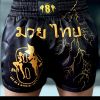 Apparel - Academy Uniform | Muay Thai Shorts Photo 2